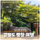 아기랑 평창 당일여행 이효석문학관 별 그리는 자작나무 카페 봉평 전통 시장 5일장 코스