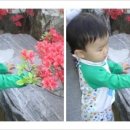 파랑새어린이집 이미지