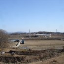 임원준 선생묘 이미지