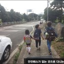 제주아이 이미지