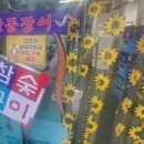 장동장어