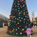 984 | 겨울 국내 온천 여행 이천 테르메덴 풀앤스파 찜질방 후기 시몬스테라스