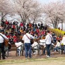 강서구-4 이미지