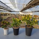 화월농장 이미지