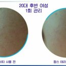 팜스테라 이미지
