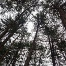 모심-2019 이미지