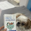 우리집 막둥이 | [강아지영양제 추천] 행복모리안 강아지 관절 영양제, 우리집막둥이 급여 후기!