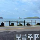 제주늘보의오후 이미지