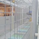 스타필드 시티 명지점 이미지