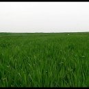 고창농장 이미지