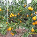 운암농장 이미지