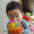 주댕 - 목포시 신흥로 38-1 | 주댕