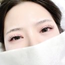 샤니래쉬