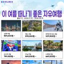 디딤여행사