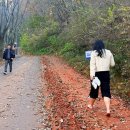 계족산황톳길 이미지