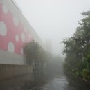 본태박물관 이미지