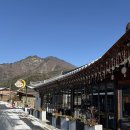 용문산 관광지 | 용문사 근처 맛집 뜰안채 메뉴 및 애견동반, 내돈내산후기