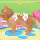 멍냥동물병원 이미지