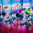 고릴라 멀티짐 이미지