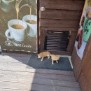 델피크리에이트 이미지