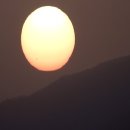 달맞이봉(공원) 이미지