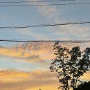 산호대로-77 이미지