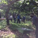 이문영농가 이미지