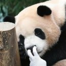 양재(주간) 이미지