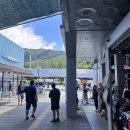 숲속트리하우스 | DAY1 : 영월 서부시장 로컬 먹거리 추천 및 주차 꿀팁, 계곡 바로 앞 촌캉스 숙소 숲속트리하우스 후기