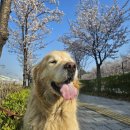 부안애서 | 성남 청계산 맛집 청계 부안애서 후기｜무료주차·발렛 가능