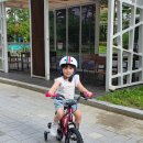 다솔유치원 | 5세 어린이 자전거 추천 입문용 마이크로바이크 16인치 2.0 헬멧 후기