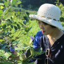 꽃을그리다 - 평택시 중앙로 183 | 꽃을그리다