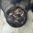 진우낚시터 이미지