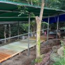 생태숲민박 이미지