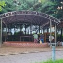 가나무로 이미지