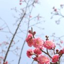 소천길 16 이미지