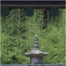 구산-009 Daum카페