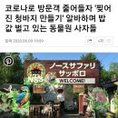 코로나로 방문객 줄어들자 '찢어진 청바지 만들기' 알바하며 밥값 벌어먹고 있는 동물원 사자들 이미지