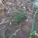 고양농장 이미지