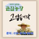 기역농장 | [여주땅콩 땅콩] 여주 큰집농장 땅콩 고소한 마음을 담아 드립니다 고소한 땅콩의 진미 여주 큰집농장의...