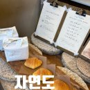 [내돈내산 자연도 소금빵] 고소한 버터향에 이끌려 먹어본 자연도 소금빵 후기