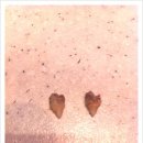 애경동물병원 이미지