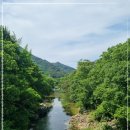 자연산장