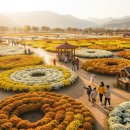 꽃길만걷자6 | ​💐👍 인제에서 꽃길만 걷자! 가을꽃축제, (ft. 입장료 0원!)