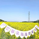 팔금 읍리  이병연 효자각 | 전남 신안섬 여행 77만평 유채꽃 축제가 열린 팔금도
