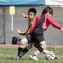 김해외동초등학교 이미지