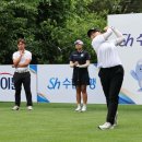 그린 매일경제