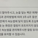 더라인뷰티샵