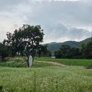 목과원