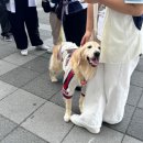 73 | 2026.5.15 롯데 vs 두산 승요기록/3루 블루석 216구역9열72,73 시야/광란의롯두전